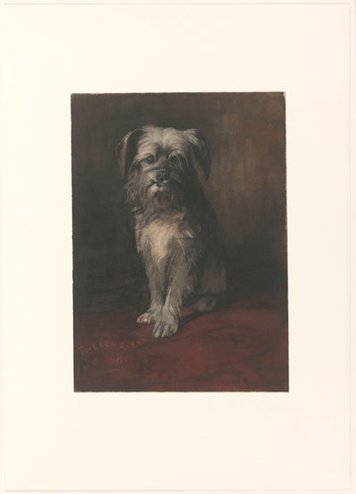 Ritratto del cane Phoebus da Willem Arnoldus Witsen