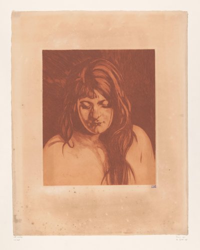 Ritratto di una donna sconosciuta da Willem Arnoldus Witsen