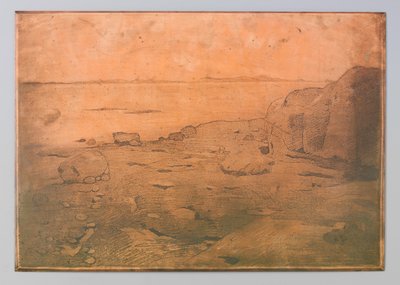 Costa rocciosa presso St. Andrews, Canada da Willem Arnoldus Witsen