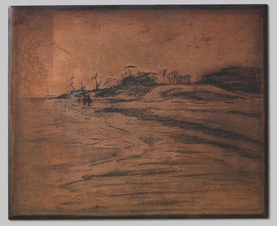 Valkeveen sul Zuiderzee da Willem Arnoldus Witsen