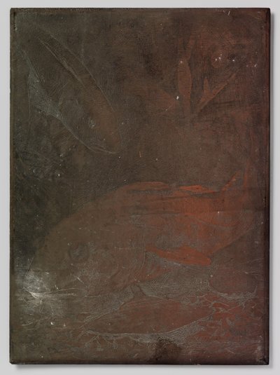 Pesci in un acquario da Willem Arnoldus Witsen