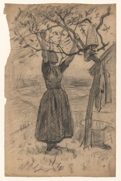 Donna che stende il bucato su un albero, verso destra da Willem Arnoldus Witsen