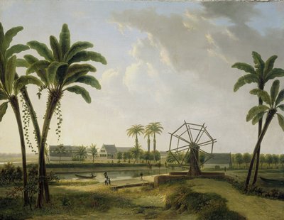 Veduta della piantagione di caffè Marienbosch in Suriname da Willem de Klerk