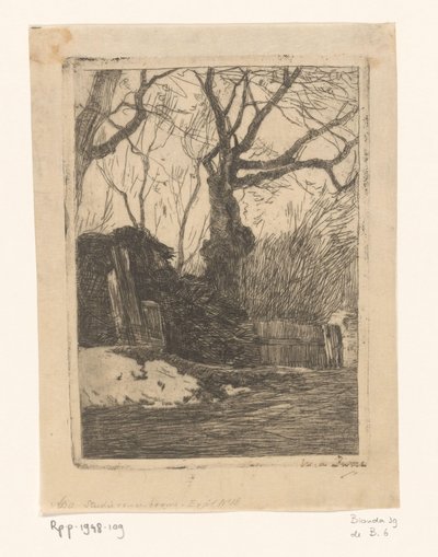 Alberi e fascine vicino a una recinzione da Willem de Zwart (signed by artist)