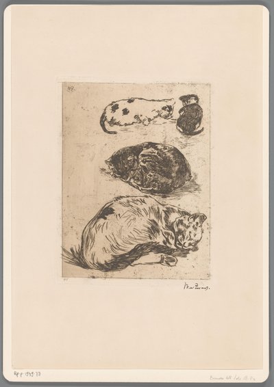 Studio di gatti da Willem de Zwart (signed by artist)
