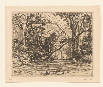 Rovina in un bosco da Willem de Zwart