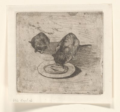 Due gatti, uno che beve da un piatto da Willem de Zwart