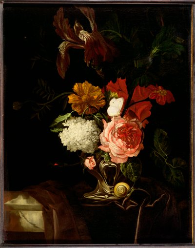 Una rosa, un