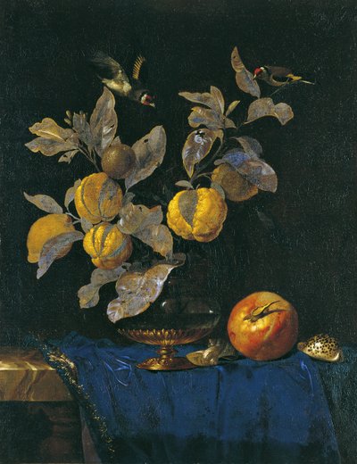 Natura morta con frutta da Willem van Aelst