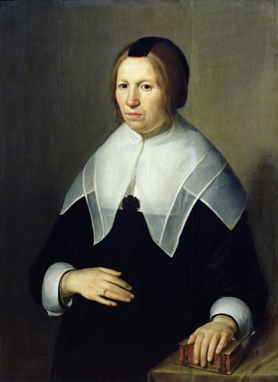Ritratto di una donna da Willem van Honthorst