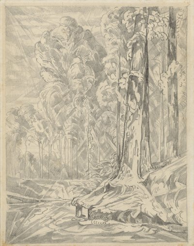 Radura tra alberi alti da Willem van Konijnenburg