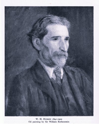 Ritratto di W. H. Hudson da William (after) Rothenstein