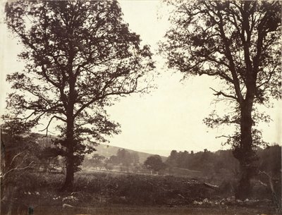 Paesaggio con olmi, Ashdown, Gran Bretagna da William 2nd Earl of Craven