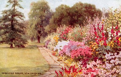 Bordo Erbaceo, Kew Gardens da William Affleck Carruthers