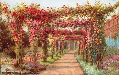 La Pergola delle Rose, Kew Gardens da William Affleck Carruthers