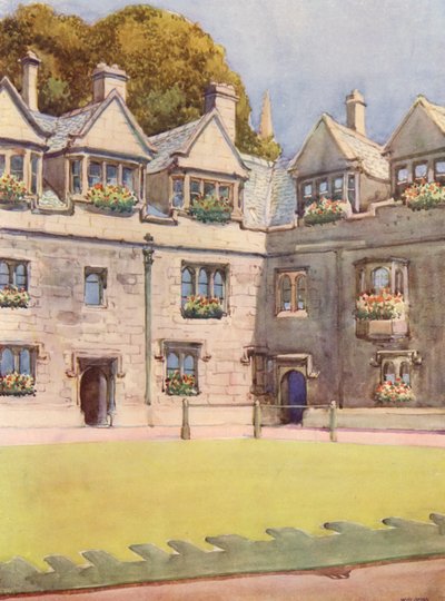 Quadrilatero anteriore del Brasenose College, con sullo sfondo il famoso ippocastano noto come Albero di Heber da William Ainsworth Wildman