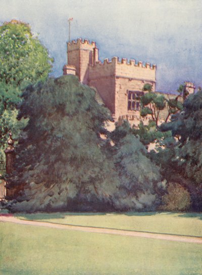 Wadham College dai giardini del Trinity College (litografia a colori) da William Ainsworth Wildman