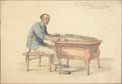 Un contadino cinese che vende betel da William Alexander