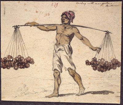 WD 961 f.279 da William Alexander
