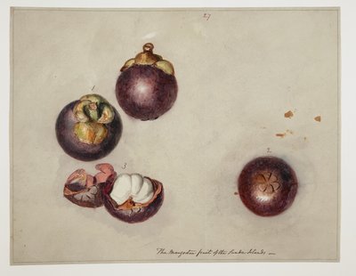 WD 961 f.27 da William Alexander