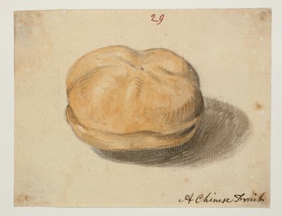 WD 961 f.29 da William Alexander