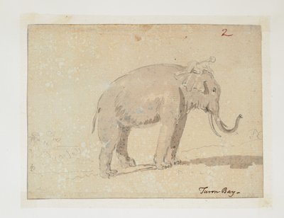 WD 961 f.2 da William Alexander