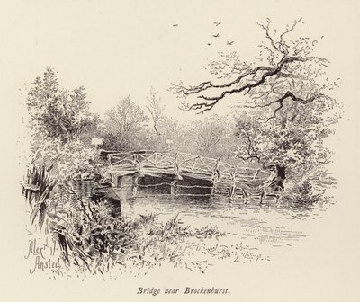 Ponte vicino a Brockenhurst da William Alexander Ansted