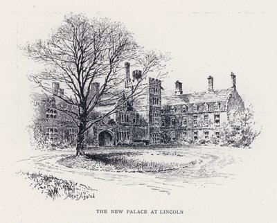 Il nuovo palazzo a Lincoln da William Alexander Ansted