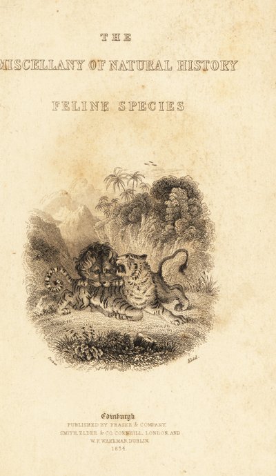 Frontespizio con vignetta di un leone che attacca una tigre (incisione) da William Alexander Forbes