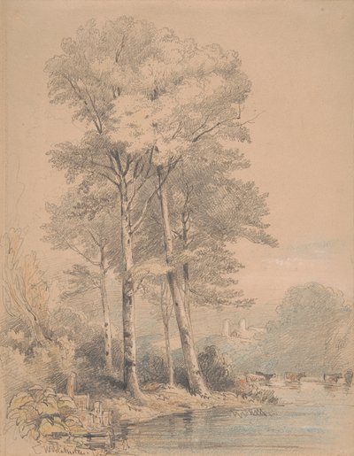 Castello di Llandovery, Galles del Sud da William Alfred Delamotte
