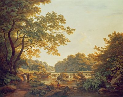 Figure vicino a una diga sul fiume Clodiagh a Charleville Forest, Contea di Offaly, 1801 da William Ashford