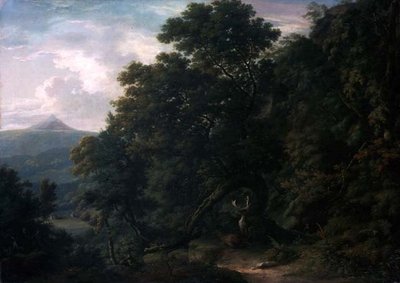 Veduta del Demesne di Powerscourt da William Ashford