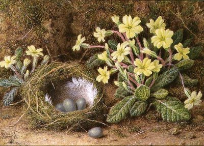 Natura Morta di Uova in un Nido e Primule da William B. Hough