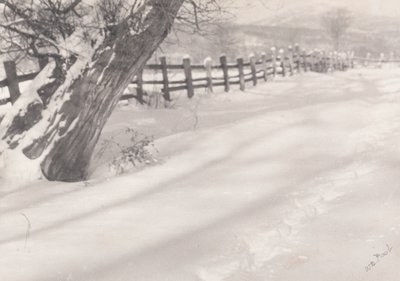 Sentiero nella neve da William B. Post