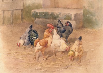 Polli da William Baptiste Baird