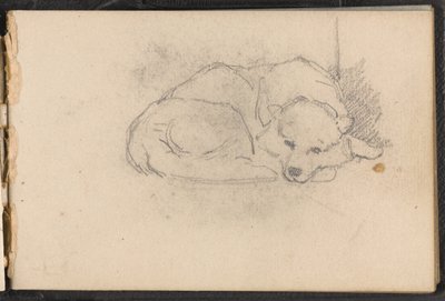 Schizzo di un cane che dorme da William Barnes Wollen
