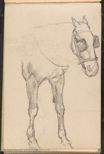 Schizzo di cavallo con paraocchi da William Barnes Wollen