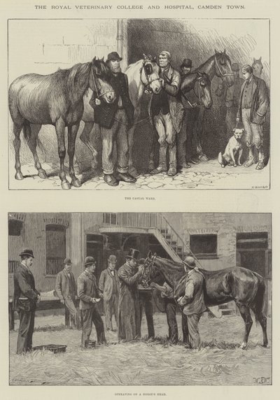 Il Royal Veterinary College and Hospital, Camden Town da William Barnes Wollen