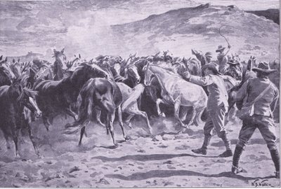 La cattura dei cavalli nel distretto di Brandwater vicino a Fouriesburg: radunare la mandria, illustrazione da After Pretoria: The Guerilla War, 1902 da William Barnes Wollen