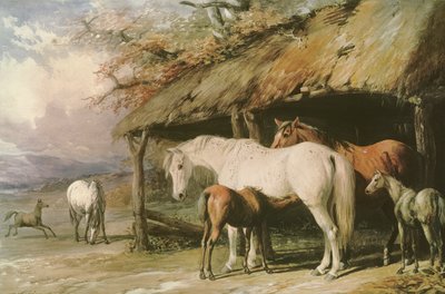 Giumente e puledri, XIX secolo da William Barraud