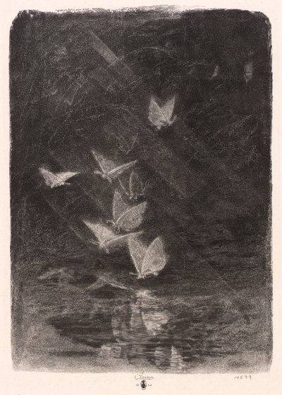Falene notturne da William Baxter Closson