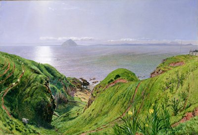Una vista di Ailsa Craig e l