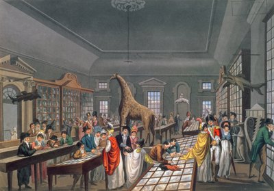 Interno della Sala Egiziana, Piccadilly, inciso dall