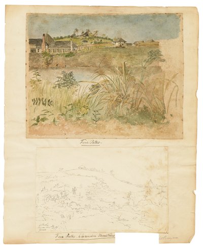 Quattro sentieri, Montagne di Clarendon, Giamaica da William Berryman