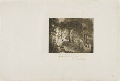 Sole che si riflette sulla rugiada, una scena di giardino da William Birch