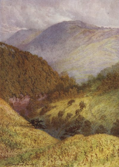Guardando giù Chee Dale, High Tor in lontananza da William Biscombe Gardner