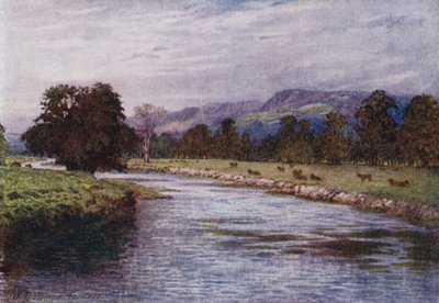 Sul Derwent, Chatsworth Park (litografia a colori) da William Biscombe Gardner
