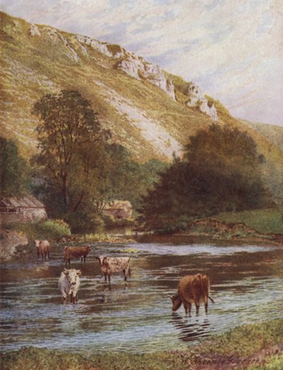 Sul Wye, Upper Dale Farm, Monsal Dale (litografia a colori) da William Biscombe Gardner