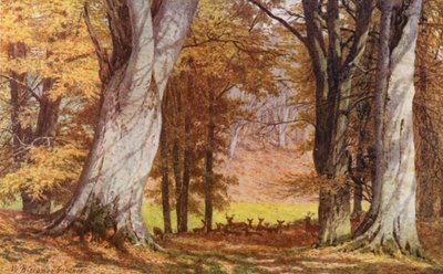 La quercia di Wilberforce, Holwood Park, Keston da William Biscombe Gardner