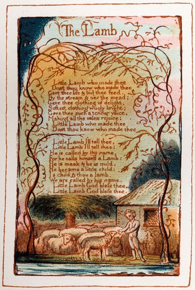 Una pagina da 